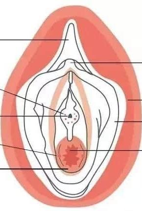 Silicone like - Osmium of the uterus